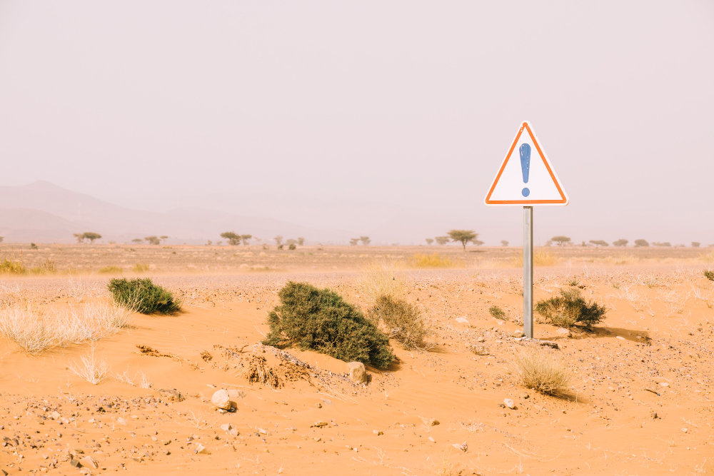 uae road hazards